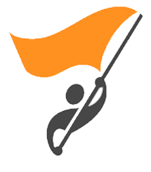 PublicDataSystems Logo